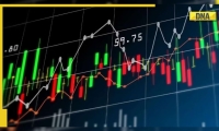 双瑞股份IPO：资金拆借频繁 土地闲置成谜